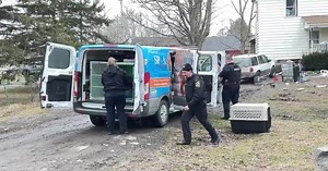 Niagara County Sheriff's Office makes two arrests after welfare check at Wilson home