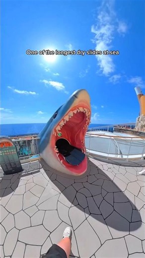 💦🦈 Inside the World's Biggest Shark Slide
