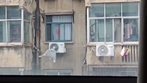 Wind foils housewife's attempt to retrieve clothes hanging outside window
