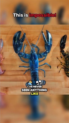 Would You Believe This Lobster Is Real? 🦞✨ #rare #animals #viral