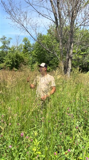 Bush Hogging Tall Grass: How to Knock Down 7-Foot Weeds