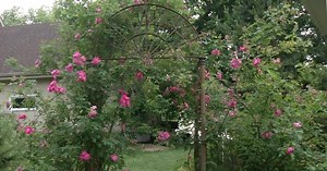 Prairie Yard & Garden:The Shangri-La Garden Season 27 Episode 13