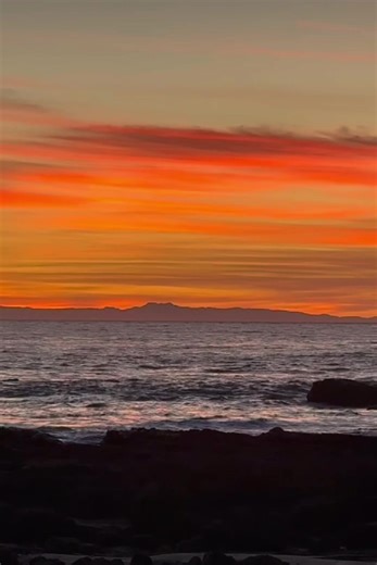 California Sunrise 🌅❤️🌺