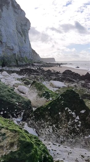 ‘Metasigaloceras rusticum’ is one of the rare ammonites you can find in the turonian section of Cap Blanc Nez - spotted by @morrowites ofcourse but freed by me because hes a l4zy 🫏 #fossils #paleontology #ammonite #dinosaur #capblancnez #museum #prehistoric #chalk #minerals #stone | Fossiles de cap blanc nez