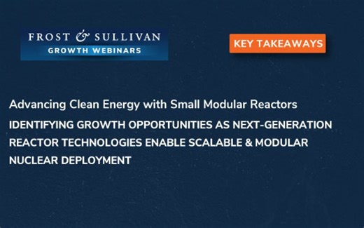 Advancing Clean Energy with Small Modular Reactors