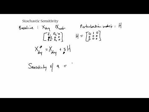 stochastic matrix models