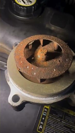 2005 mustang Gt water pump replacement #ford #mechanic