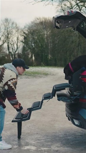 A Better Way In and Out | BMW X5 Pull-Out Dog Steps