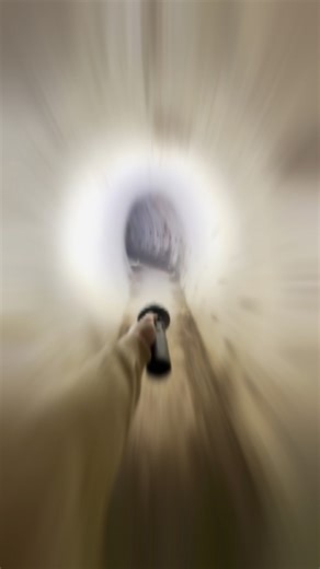 432K views · 4.3K reactions | Versteckter Bunker im Wald 殺 #fblifestyle #bunker #bunkers #lostplaces #lostplacesgermany #deutschland #deutsch #shelter #ww2 #ww2history #history #historia #abandoned #abandonedplaces #forest | Losthistorie | Facebook