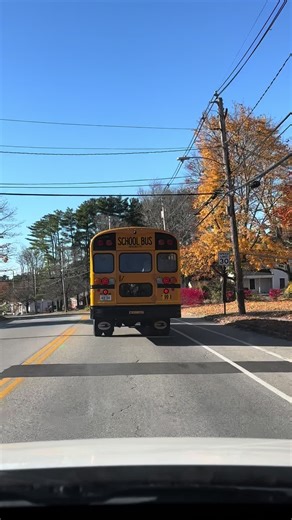 Bus 100 y el impacto del 118