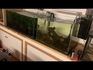 東京23区 埼玉南部で震度5強 地震 2021.10.7 川口市