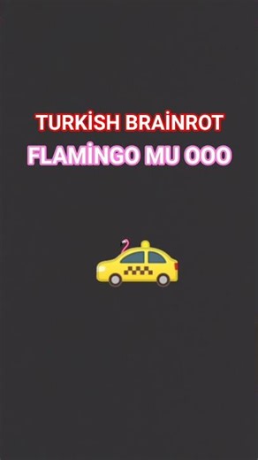 FLAMİNGO MU OOO 🦩🚕