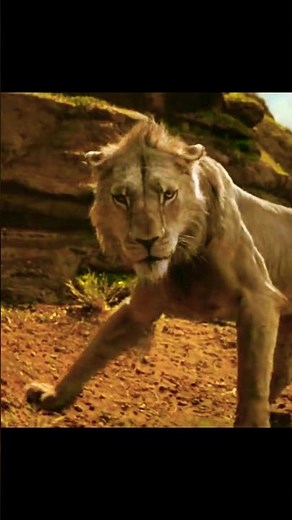 ​""Scar: The face of pure revenge.#movie #mufasa #disney #movie #marvel #lionkingmoments #scareprank
