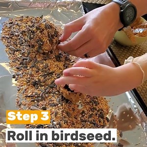 DIY Pine Cone Bird Feeder