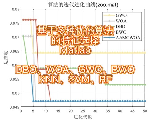 特征选择|多种优化算法优化特征选择，含3种分类器
