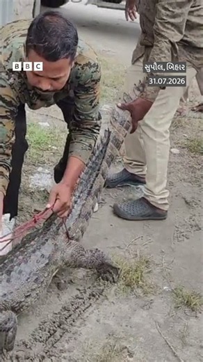 Bihar :Crocodileને ખભા પર ઊંચકીને કેમ પોલીસ સ્ટેશન પહોંચ્યો આ યુવક?