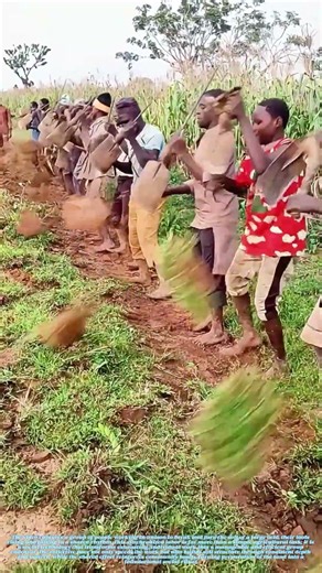 Turning Earth Together: The Rhythm of Collective Cultivation