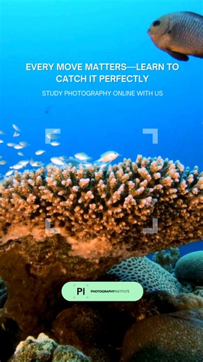 You already see the world differently — angles, light, and little moments others miss. Now it’s time to build the skills that match your vision. Our self-paced online photography course gives you everything you need to grow your talent and shoot like a pro. With real tutors guiding you, online workshops to deepen your learning, and round-the-clock support, you’re never on your own. Start learning today and turn your eye for beauty into a skillset that lasts a lifetime. | The Photography Institut