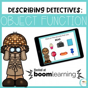 Describing Detectives: OBJECT FUNCTION | Boom Cards™