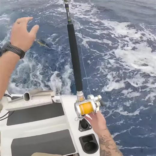 12K views · 208 reactions | GIANT TUNA CATCH AND COOK | Paul Roberts | Facebook