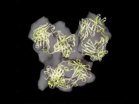 3D Structure of a Protein