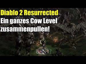Diablo 2 Resurrected | Ein ganzes Cow Level zusammenpullen!