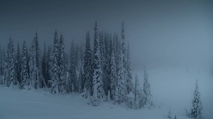 3.1K views · 55 reactions | Check out the trailer for the new Ski-Doo Escape Room video! See more here: https://youtu.be/R7IQdXbmJmE Details are here: https://www.snowest.com/2019/03/skidoo-launching-escape-mountain-video | SnoWest Magazine | Facebook