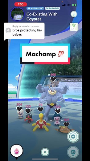 Machamp 💯 - Pokémon Go Trainer Highlights
