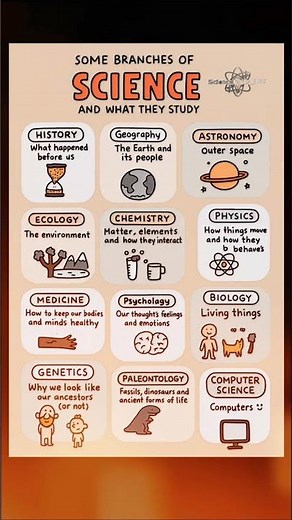 📚🔬 DID YOU KNOW? These Are the Main Branches of Science!