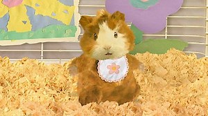 Watch Wonder Pets Season 3 Episode 9 - How it All Began