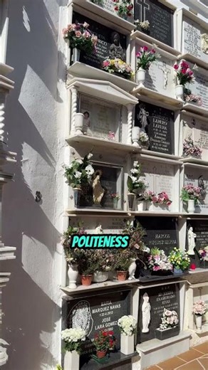 Life Lesson About Manners We Learn Later 🤝 #shorts