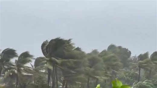 29K views · 601 reactions | #PaoloPH’s strong winds are now felt in Alicia, Isabela. The typhoon made landfall in Dinapigue, Isabela at 9 a.m. | Mindanao Weather Update | Facebook