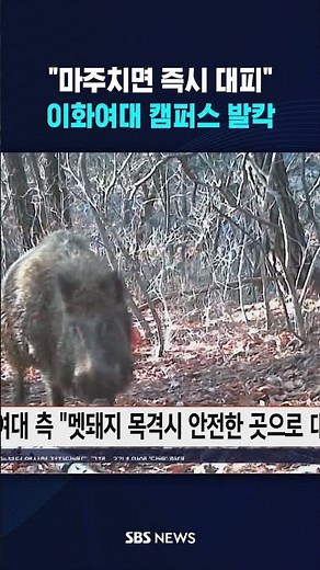 "Evacuate immediately upon encounter"... Ewha Womans University campus in uproar #shorts