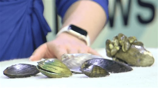 Women of Science event brings free, family-friendly celebration to New York State Museum