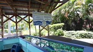 1.5K views · 19 reactions | Have you been to the IMAG History & Science Center yet? Immerse yourself in science, history and FUN! with over 60 hands-on exhibits. Visit during your next Pink Shell stay  | Pink Shell Beach Resort & Marina | Facebook