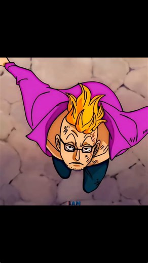 Sam Anime on Instagram: "MARCO VS QUEEN & KING #onepiece #marco #king #queen"