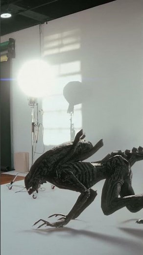 Alien Xenomorph | Green Screen - Footage 4K
