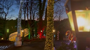 110 reactions · 36 shares | Still searching for a magical Christmas Grotto experience in Devon? At Woodlands our winter grotto includes… • TEN festive themed rooms to explore⛄ • A ride through the North Pole on the Woodlands Express • Meet Santa & receive a gift • Warm festive drink for adults & sweet treat for children Find out more at: www.woodlandspark.com | Woodlands Family Theme Park | Facebook
