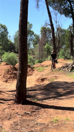 Briddle (@briddle659)’s videos with original sound - ɔɔzuᴉʞʍɐɥ