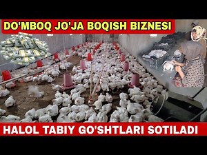 UY SHAROITIDA PARANDACHILIK BIZNESI TOVUQ GO'SHT NARXLARI SURXONDARYO