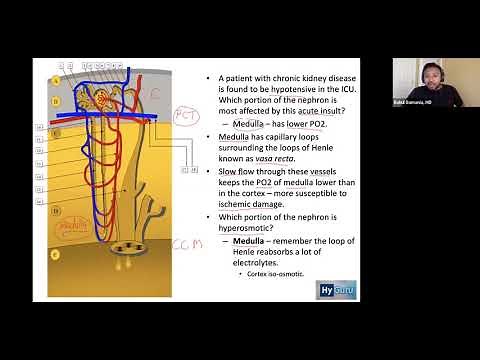 USMLE Step 1 - Renal Physiology [High Yield BRS Concepts]