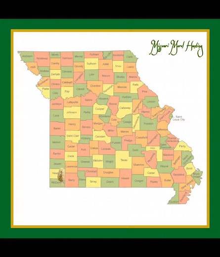 23K views · 135 reactions | Missouri Morel Hunting on Reels | Facebook