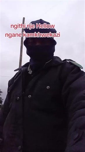 The RedDog (@the.redog)’s videos with original sound - Madondo🇿🇦