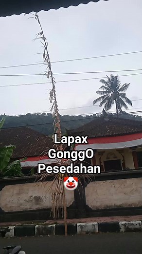23 reactions · 4 comments | Menu update hari ini ; Sate seraten babi Pindangan kikil babi Babi plalah Gorengan jeroan Pesan be pasih merajang Nasi bungkus "Karena rasa tak pernah bohong | Lingga Duastra | Facebook
