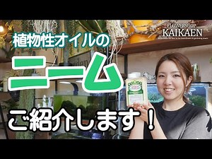 Neem vegetable oil, safe, reliable, pesticide-free, insect repellent, antibacterial, and healthy ...