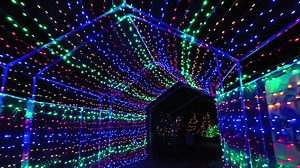 19K views · 26 reactions | Akron Zoo on Reels | Facebook