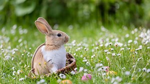 When Is Easter? Here’s Why the Date Changes Every Year