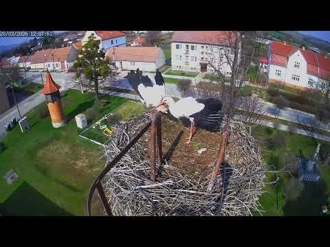 Tak to vypadá, že je doma i Nověnka ❤️ 20. 3. 2026 ve 12:07:33, vítej naše holčičko zlatá ❤️