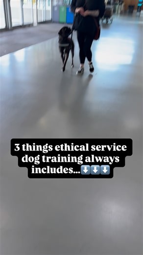 Ethical service dog training is steady, thoughtful, and rooted in emotional safety. At Woofability, we focus on: 1. A dog who feels calm and understood 2. A handler who feels supported and listened to 3. Long-term confidence, not quick fixes When we honour both the human and the dog, real service dog work becomes possible. #WoofabilityServiceDogs #ethicalservicedogtraining #servicedogeducation servicedogtrainer vancouverislanddogs colwoodbc victoriabc | Woofability Service Dog Training