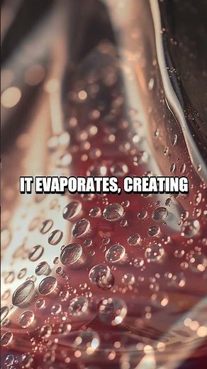 The Incredible Water Cycle in a Bag Experiment